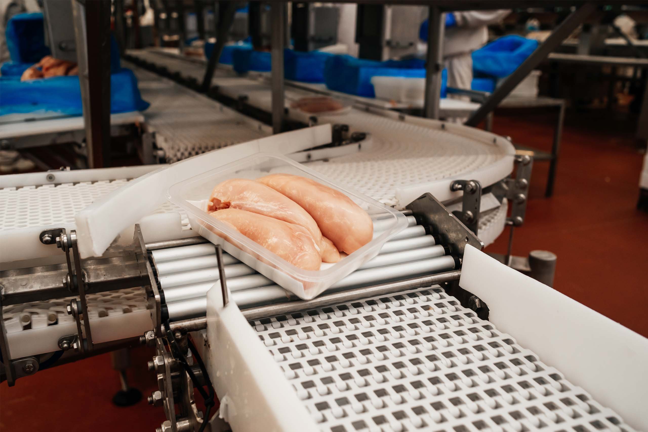 Einfrieren von hochwertiger Hähnchenbrust