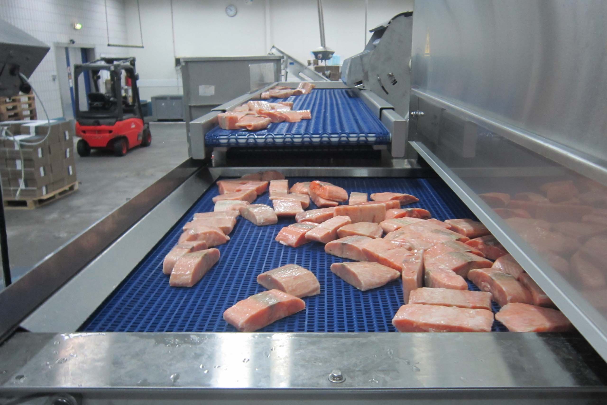 Kryogenes Einfrieren von Fisch und Meeresfrüchten