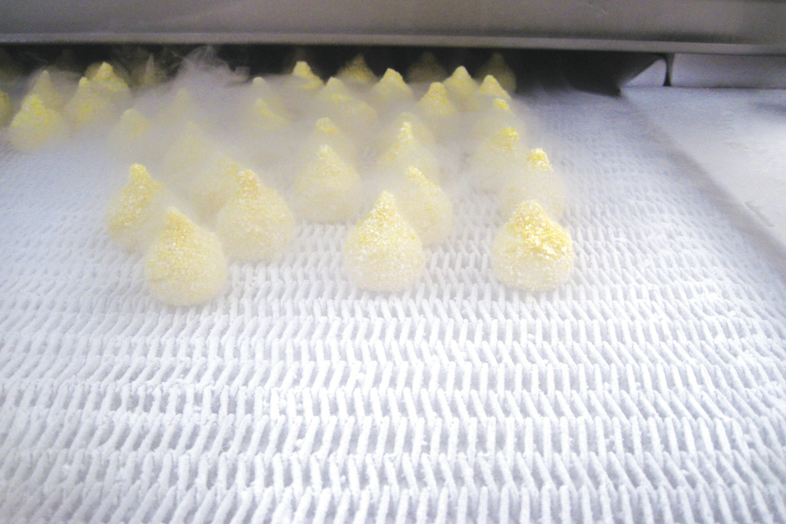 IQF Kryogenes Frosten