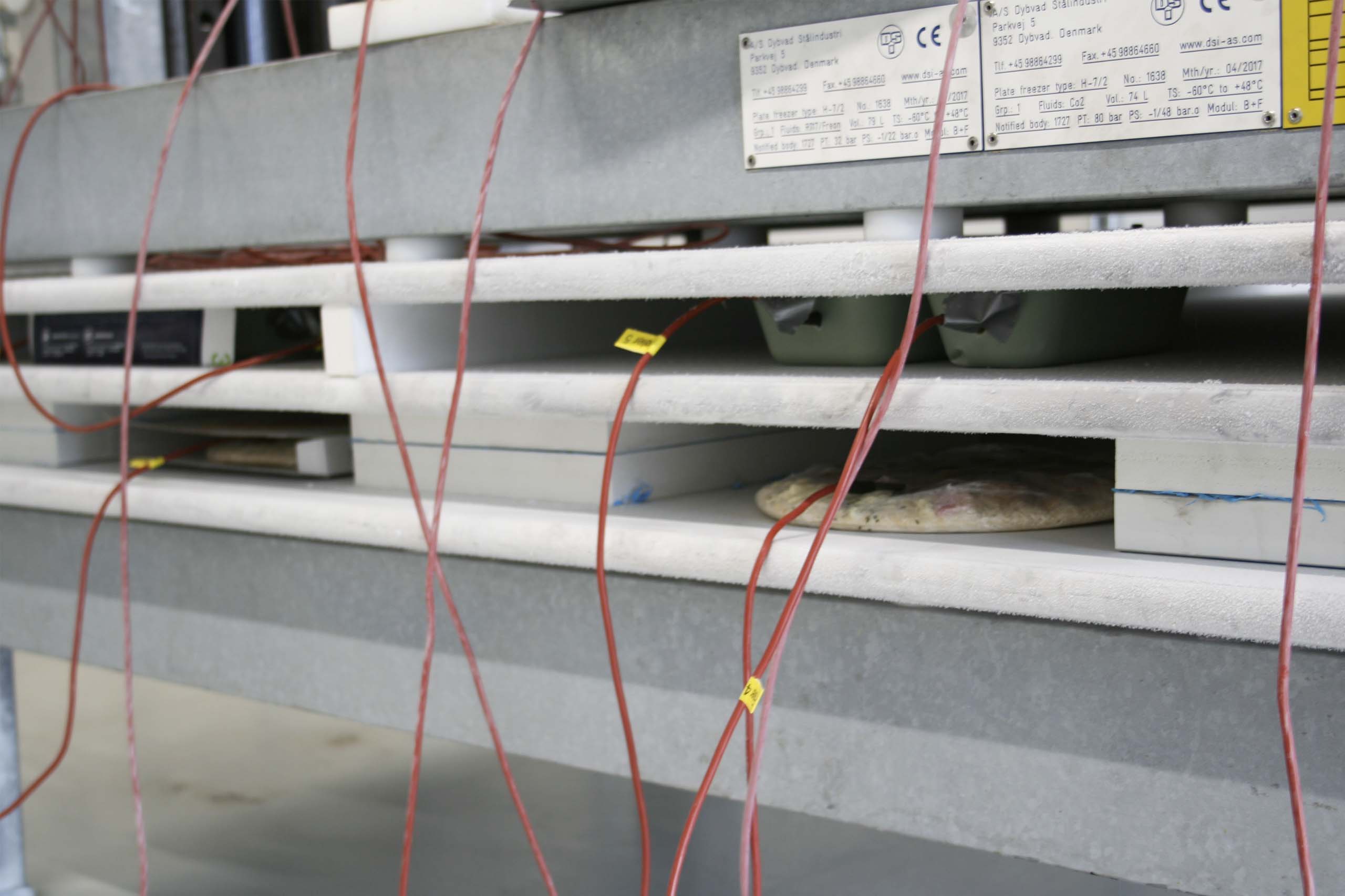 Testegefrieren im Plattenfrosten