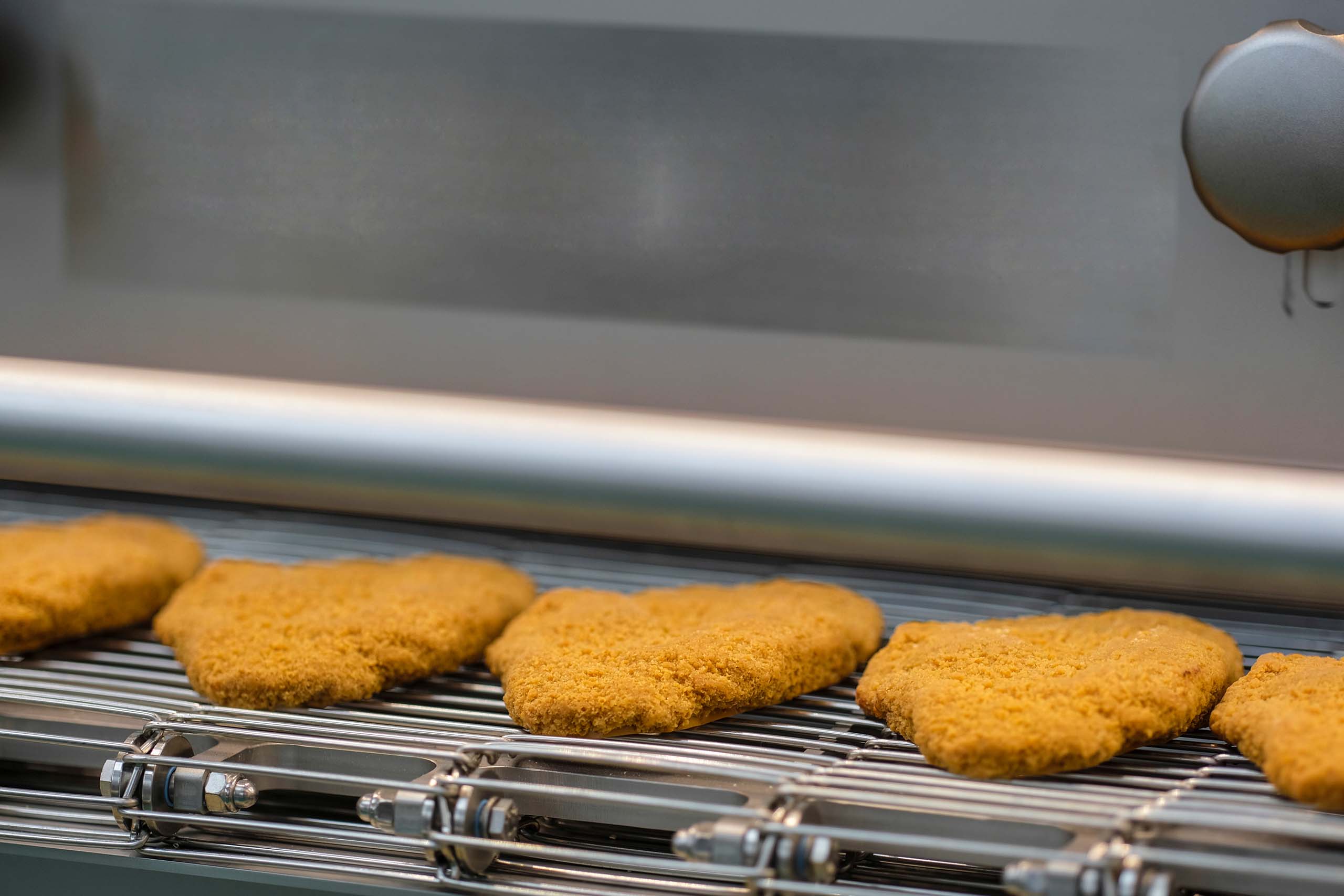 Schnitzel einfrieren