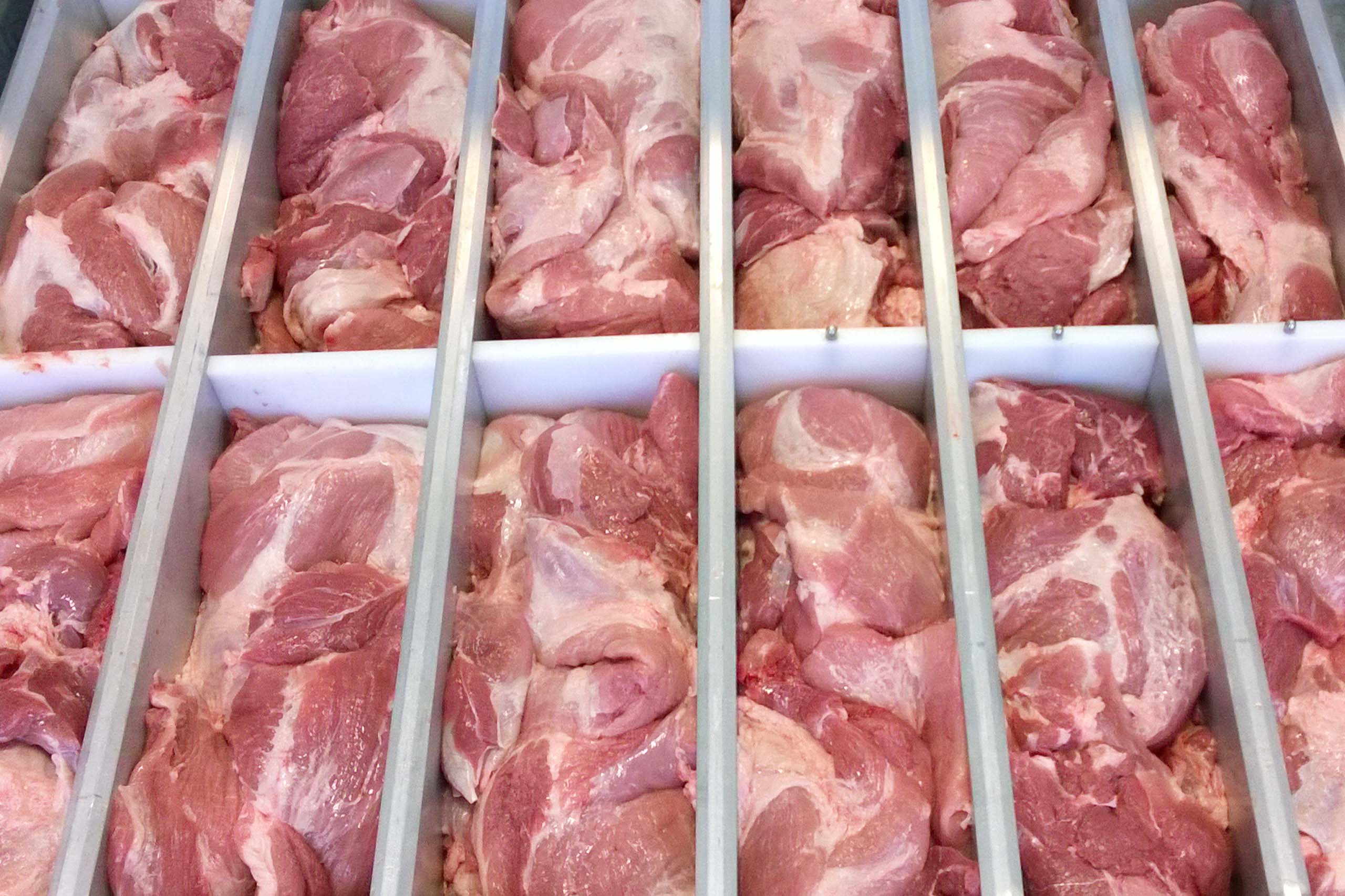 Plattenfrosten von Fleisch und Geflügel